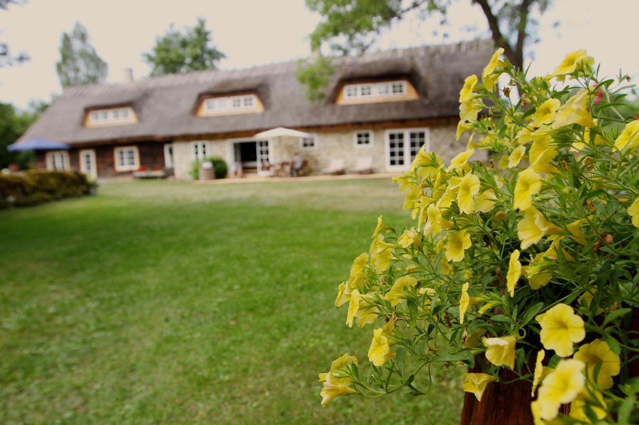 Metsara B & B Tornimae Eksteriør bilde